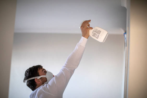 Best Mold Testing and Inspection Services in North Alamo, TX